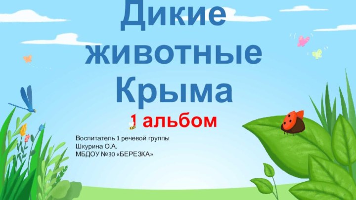 Дикие животные Крыма 1 альбомВоспитатель 1 речевой группыШкурина О.А.МБДОУ №30 «БЕРЕЗКА»