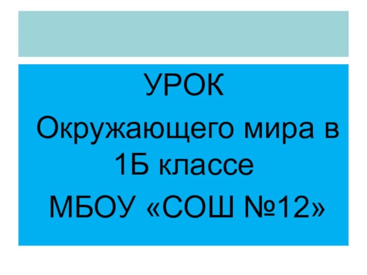 УРОК Окружающего мира в 1Б классе МБОУ «СОШ №12»