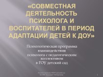 Презентация программы Взаимодействие психолога с педагогическим коллективом в ГОУ детский сад рабочая программа (младшая группа)