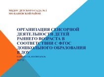 Организация сенсорной деятельности детей раннего возраста в соответствии с ФГОС дошкольного образования в ДОУ презентация к уроку (младшая группа) по теме