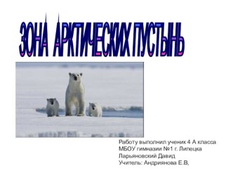 Зона Арктических пустынь 1