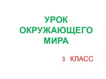 Презентация Путешествие к А.С.Пушкину презентация к уроку по окружающему миру (3 класс)