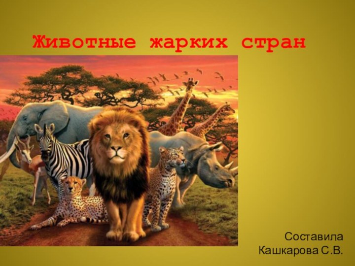 Животные жарких странСоставила Кашкарова С.В.