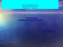 Презентация профессионального опыта презентация к уроку по теме