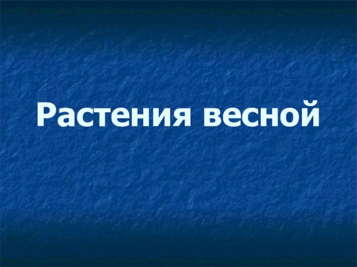 Растения весной