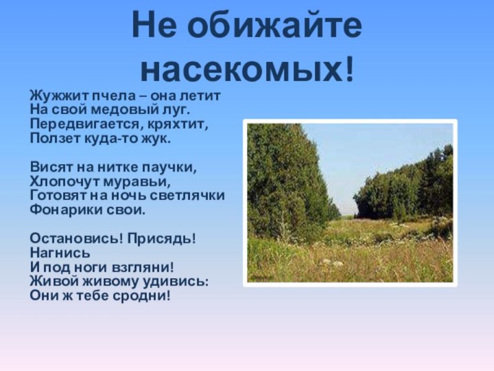 Не обижайте насекомых!Жужжит пчела – она летит На свой медовый луг. Передвигается,