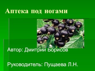 Аптека под ногами творческая работа учащихся по окружающему миру (3 класс) по теме