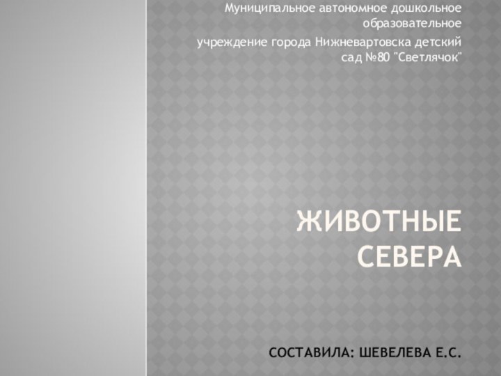 Животные севера   составила: Шевелева Е.С.Муниципальное автономное дошкольное образовательное