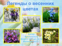 Легенды о весенних цветах презентация к уроку по окружающему миру ( группа)