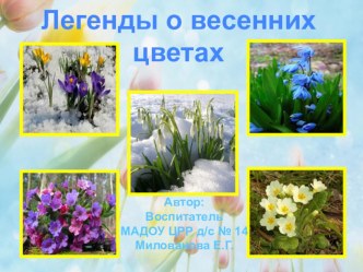 Легенды о весенних цветах презентация к уроку по окружающему миру ( группа)