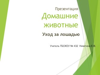 Презентация к уроку В гостях у Бабушки Загадушки (Уход за лошадью) презентация к уроку по окружающему миру