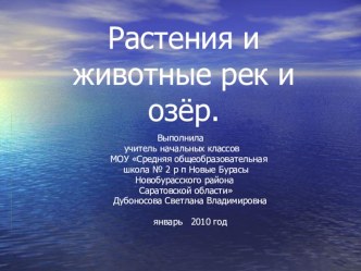 Растения и животные рек и озёр. презентация к уроку по окружающему миру (3 класс) по теме