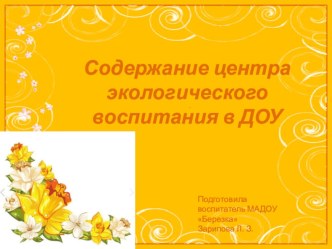 Содержание центра экологического воспитания в ДОУ . презентация