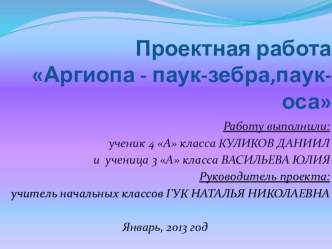 Проектная работа АРГИОПА – ПАУК-ЗЕБРА, ПАУК-ОСА творческая работа учащихся по окружающему миру (4 класс) по теме