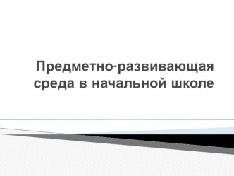 ПК 4.2. Предметно-развивающая среда учебного кабинета начальных классов занимательные факты