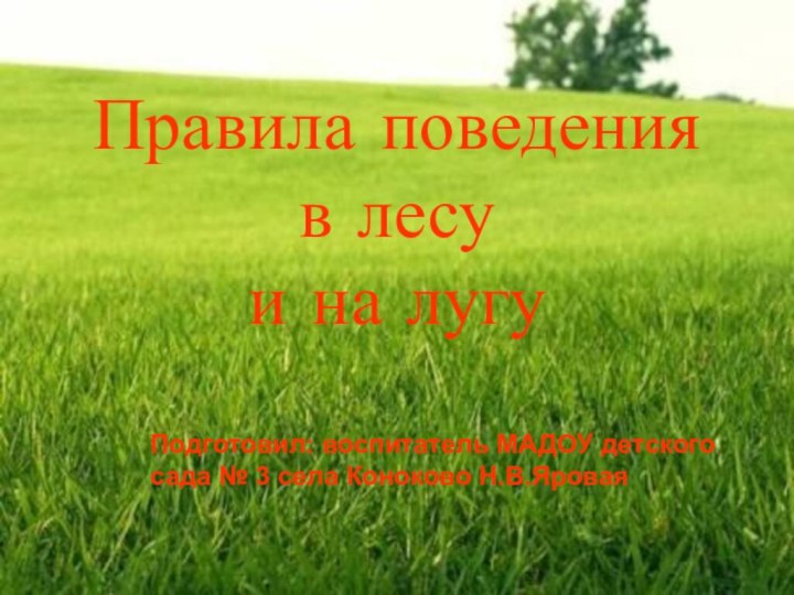 Правила поведения  в лесу  и на лугуПодготовил: воспитатель МАДОУ детского