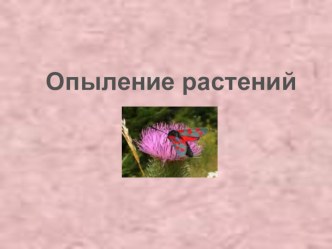 Опыление растений презентация к уроку по окружающему миру (3 класс)