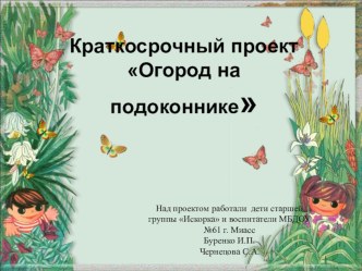 Огород на подоконнике презентация к уроку по окружающему миру (старшая группа)