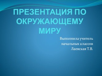 Конспект Окружающего мира 4 класс методическая разработка по окружающему миру (4 класс)