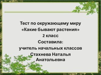 Тест презентация к уроку по окружающему миру (2 класс) по теме