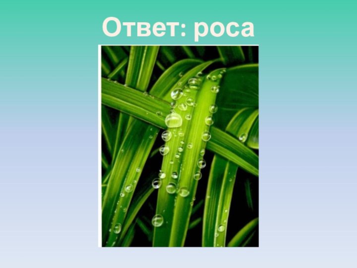 Ответ: роса