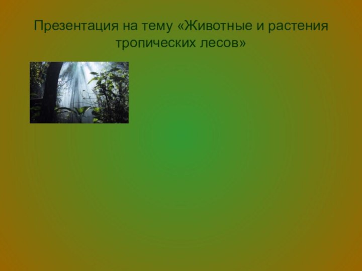 Презентация на тему «Животные и растения тропических лесов»