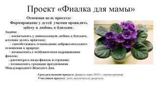 Проект фиалки презентация урока для интерактивной доски (средняя группа)