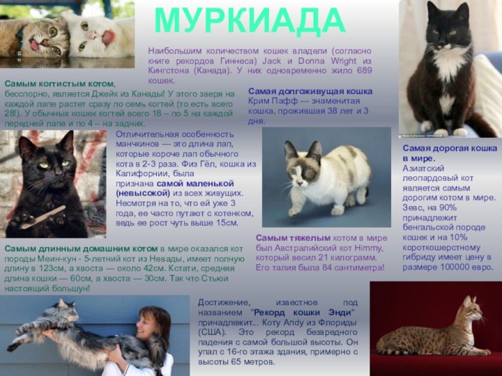 МУРКИАДАСамым когтистым котом,  бесспорно, является Джейк из Канады! У этого зверя