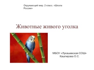 Презентация к уроку Животные живого уголка презентация к уроку по окружающему миру (1, 2, 3, 4 класс)