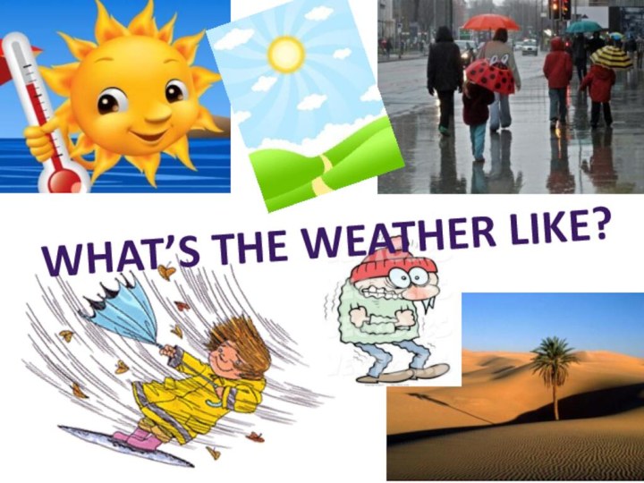 What’s the weather like?