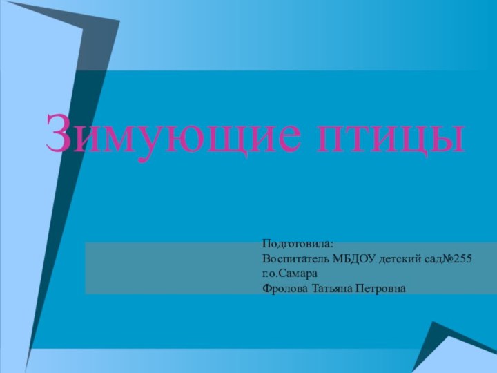 Зимующие птицыПодготовила:Воспитатель МБДОУ детский сад№255г.о.СамараФролова Татьяна Петровна