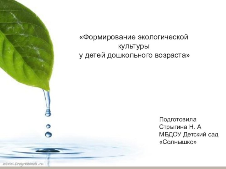 «Формирование экологической культуры у детей дошкольного возраста»ПодготовилаСтрыгина Н. АМБДОУ Детский сад «Солнышко»