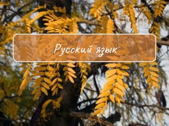 Развитие умения ставить вопросы кто? и что? к словам. презентация к уроку по русскому языку (2 класс)