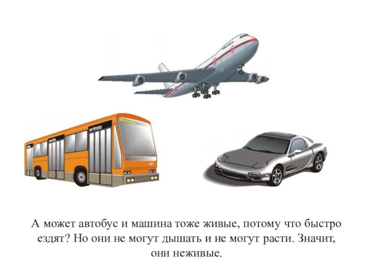 А может автобус и машина тоже живые, потому что быстро ездят? Но
