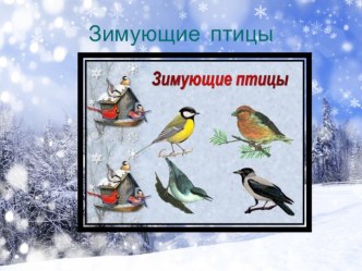 зимующие птицы презентация к занятию по окружающему миру (старшая группа) по теме