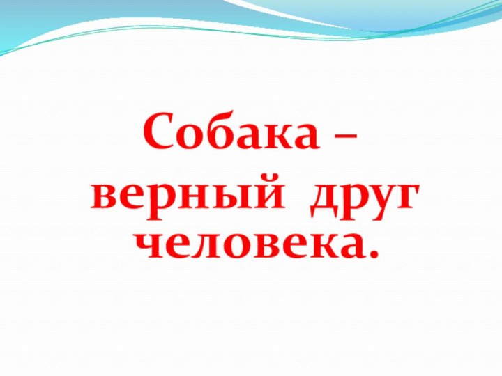 Собака – верный друг человека.