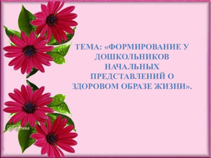 ТЕМА: «ФОРМИРОВАНИЕ У ДОШКОЛЬНИКОВ НАЧАЛЬНЫХ ПРЕДСТАВЛЕНИЙ О ЗДОРОВОМ ОБРАЗЕ ЖИЗНИ».