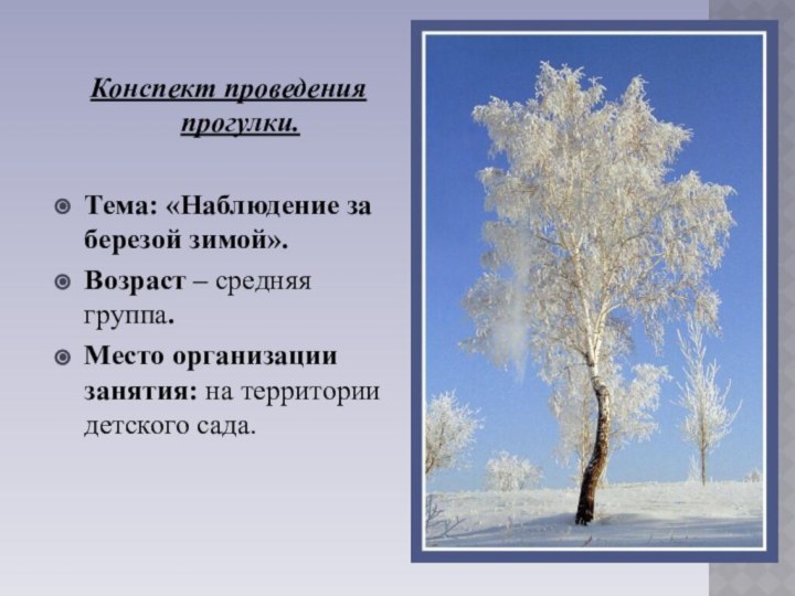 Конспект проведения прогулки.Тема: «Наблюдение за березой зимой».Возраст – средняя группа.Место организации занятия: на территории детского сада.