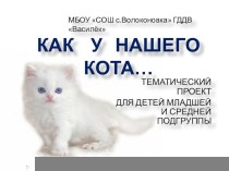 Проект Как у нашего кота... методическая разработка