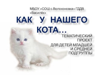 Проект Как у нашего кота... методическая разработка