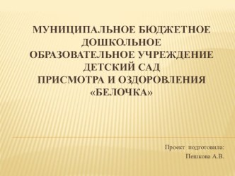 Проект:Богатыри земли русской проект (старшая группа)