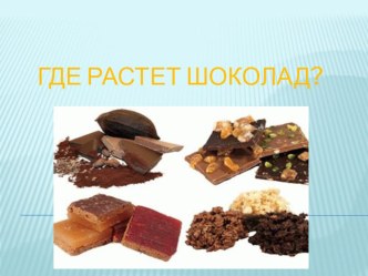 Где растет шоколад презентация к уроку по окружающему миру (средняя группа)