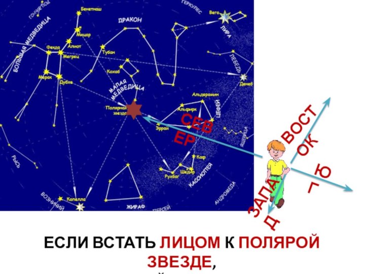 ЕСЛИ ВСТАТЬ ЛИЦОМ К ПОЛЯРОЙ ЗВЕЗДЕ, ТО ПЕРЕД ТОБОЙ БУДЕТ НАПРВЛЕНИЕ НА СЕВЕРСЕВЕРЮГВОСТОКЗАПАД