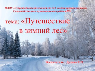 Презентация Путешествие в зимний лес презентация по окружающему миру