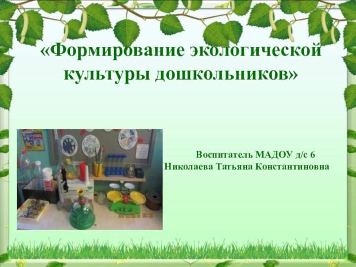 «Формирование экологической культуры дошкольников»        Воспитатель