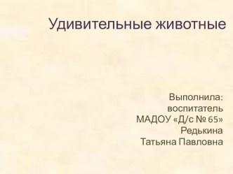 Презентация Удивительные животные презентация к уроку по окружающему миру (старшая группа)