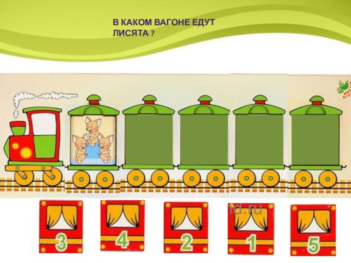 в каком вагоне едут лисята ?