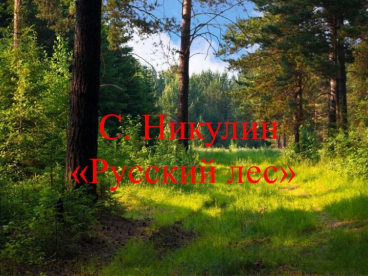 \ С. Никулин «Русский лес»