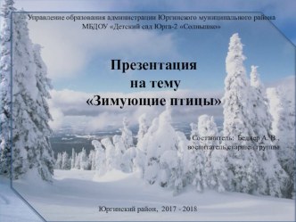 Зимующие птицы презентация к уроку по развитию речи (старшая группа)