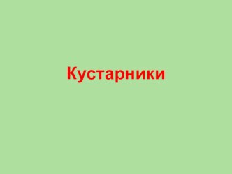 Кустарники презентация по окружающему миру